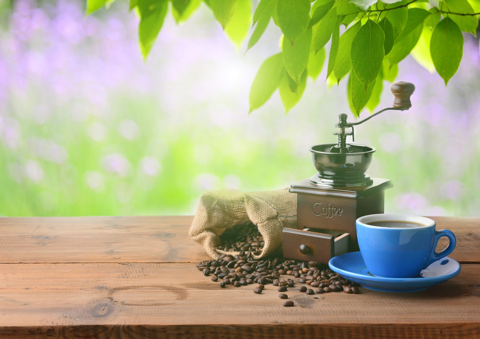 cup-coffee-with-coffee-grinder-sunny-day