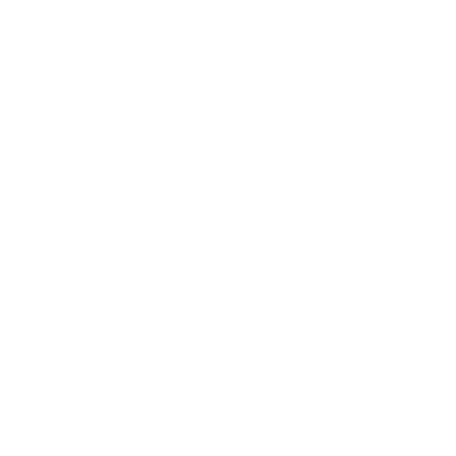 Broritos Icon for Vision